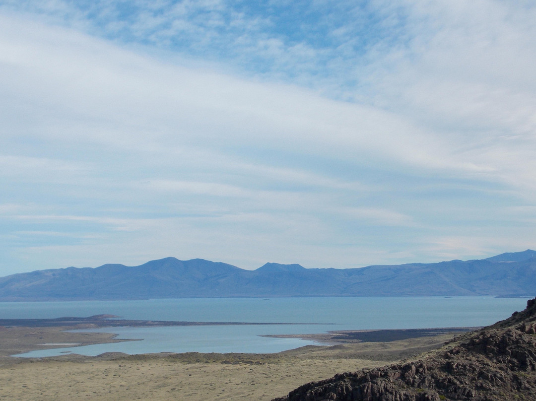 Viedma Glacier景点图片