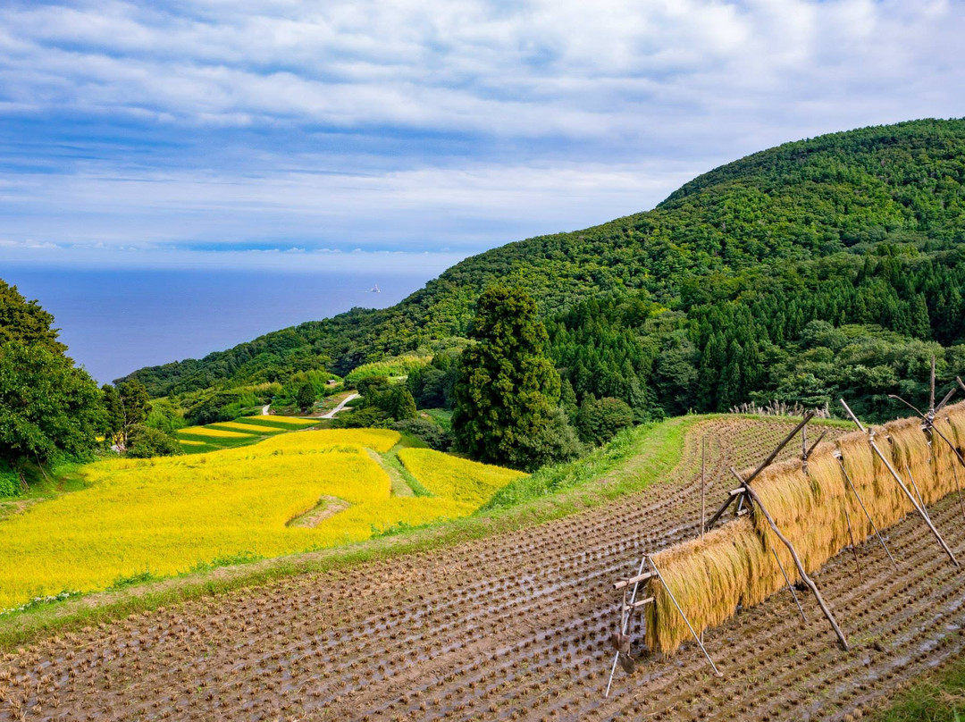 Iwakubi Shoryu Tanada-佐渡市必去景点