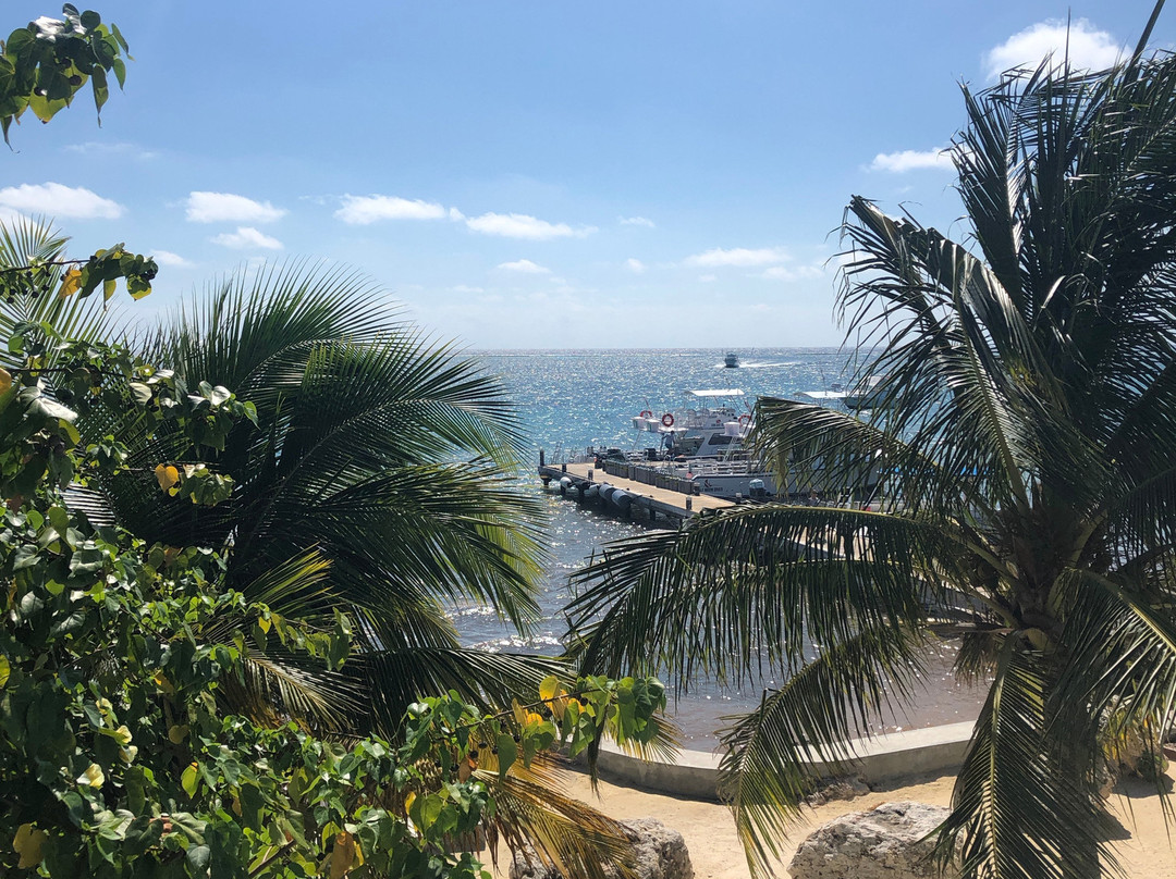 Compass Point Dive Resort主图