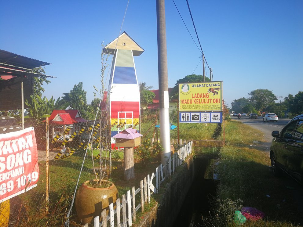 Ladang Madu Kelulut Ori DUKUN JAYA景点图片