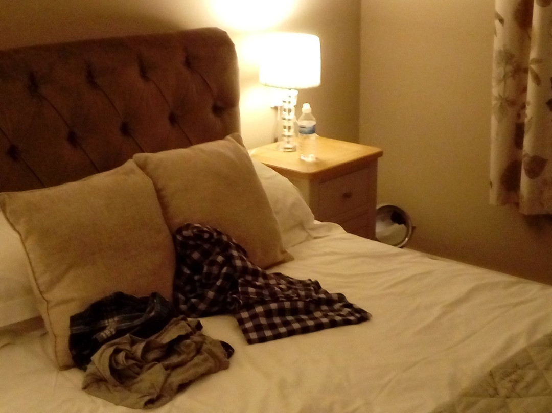 Druid House Guest House主图