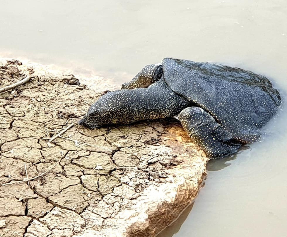 Alexander Stream Hof Bet Yanai National Park-Netanya必去景点