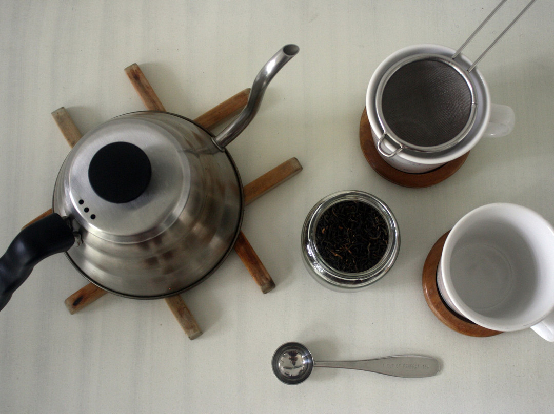 Planta Madre Botánicos