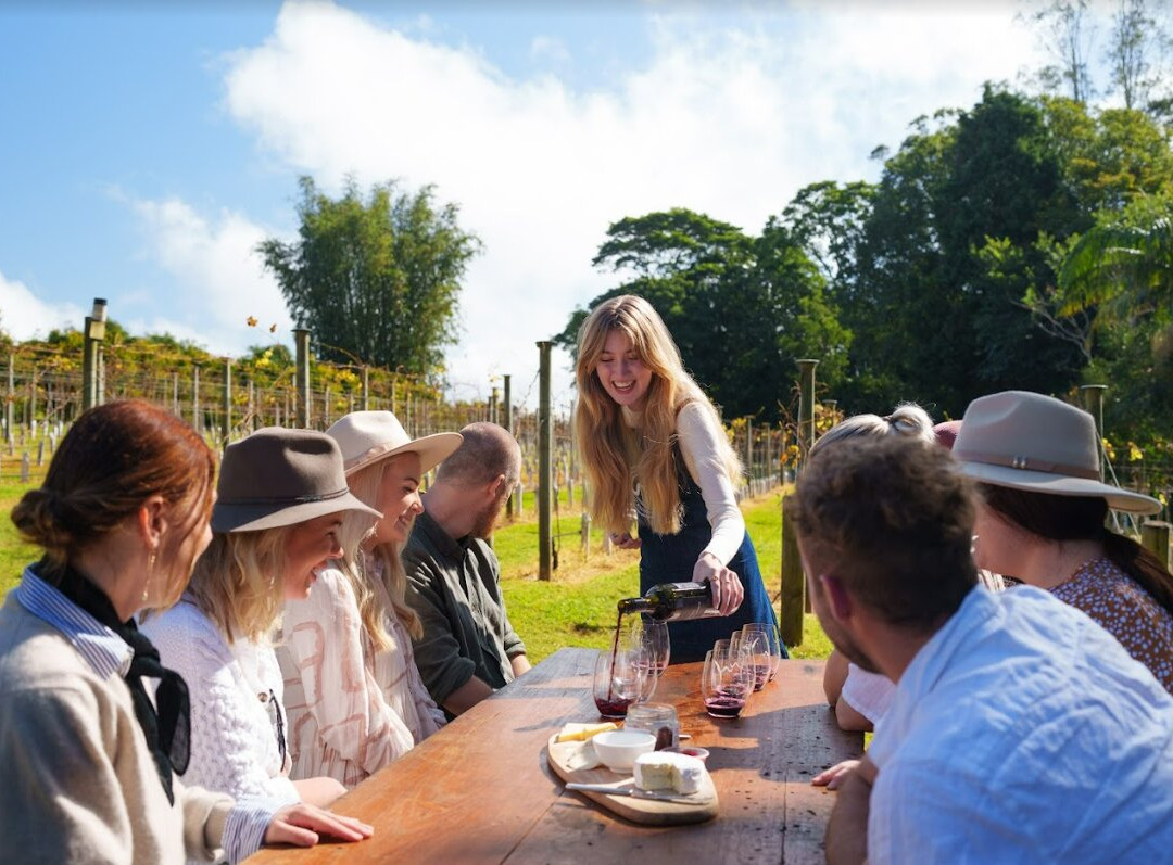 The Vino Bus - Winery Tours-布里斯班必去景点