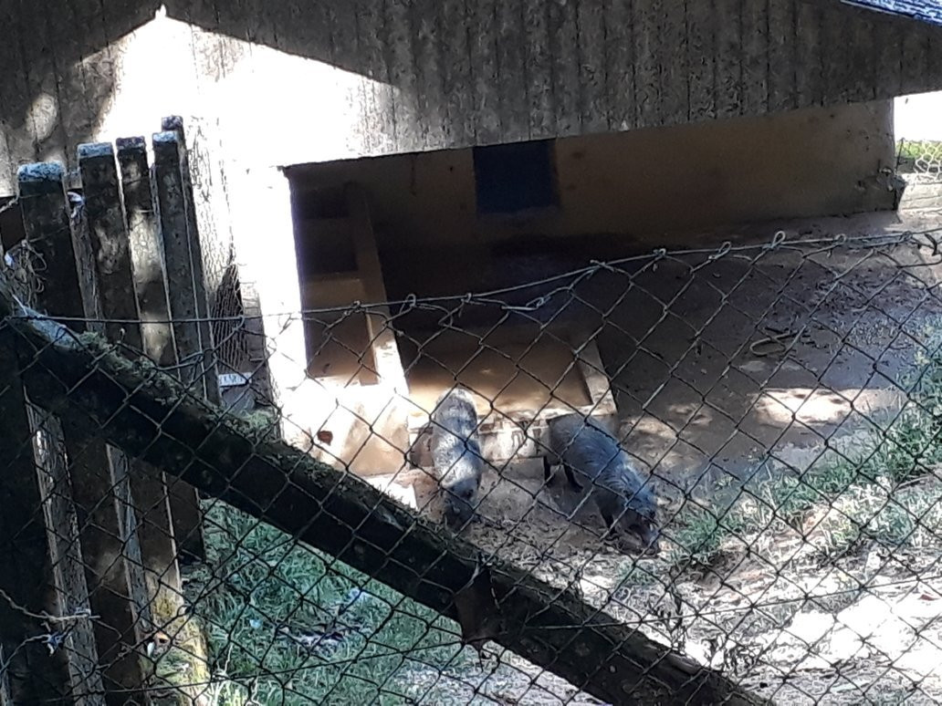 Parque Zoobotanico de Brusque-Brusque必去景点