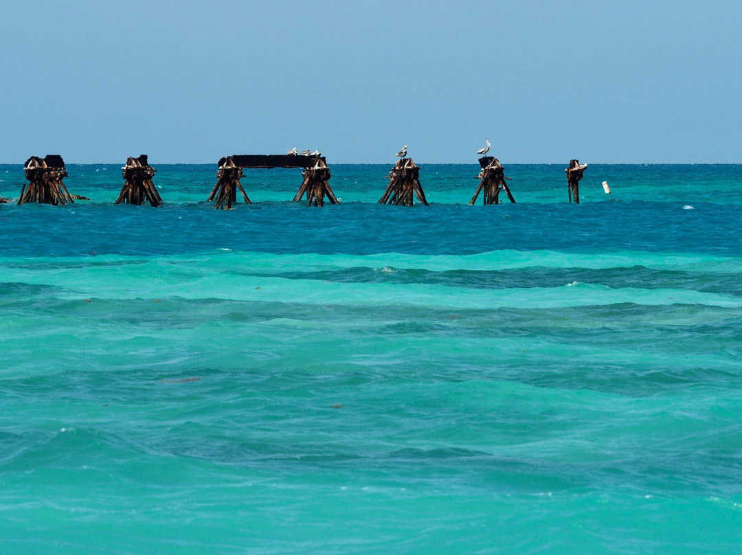Garden Key-海龟国家公园必去景点