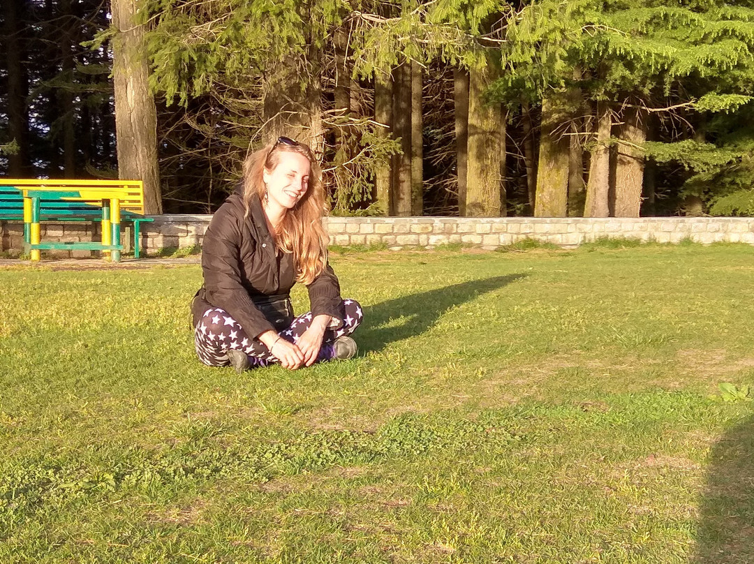 Midwood Breeze主图