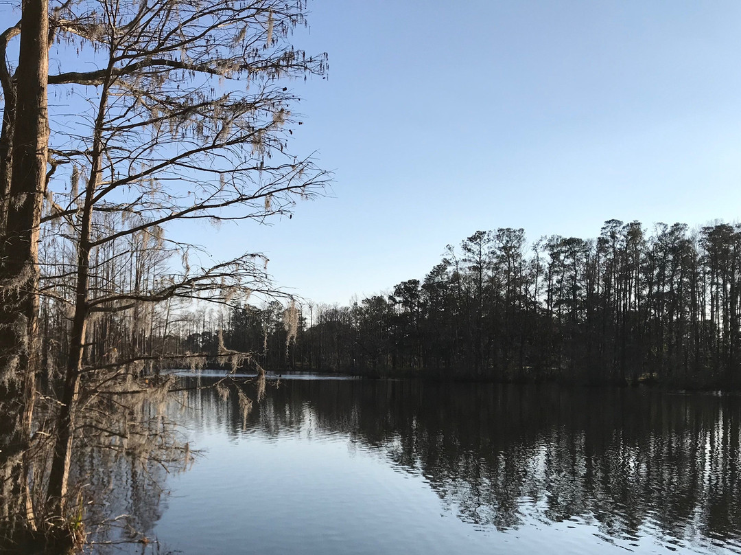 Greenfield Park景点图片