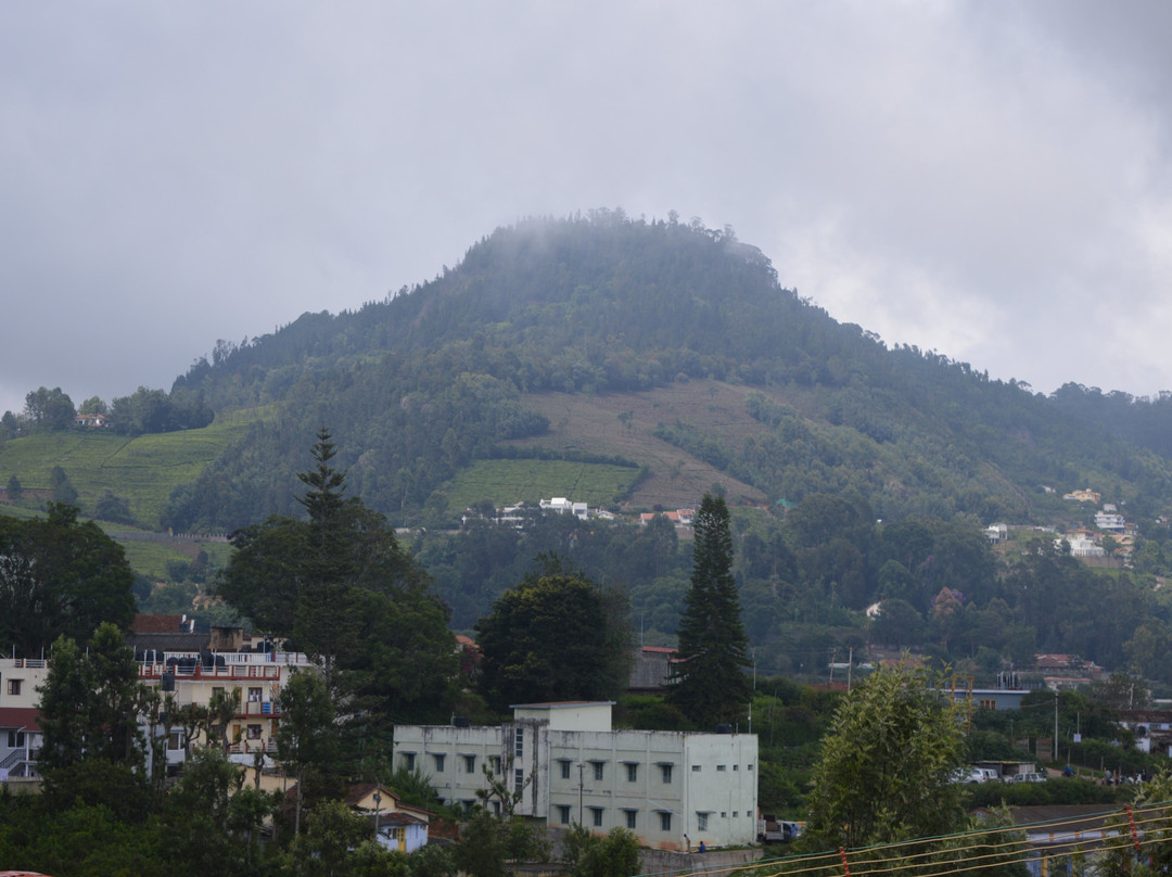 Lobosa Comforts主图