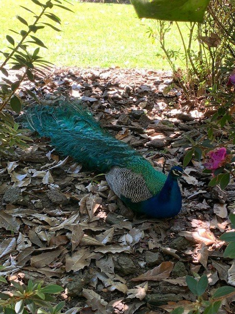 Hotel Movich Las Lomas主图