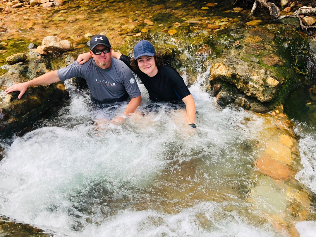 Cardwell Forest Drive-卡德威尔必去景点