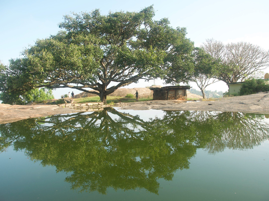 Turahalli Park景点图片