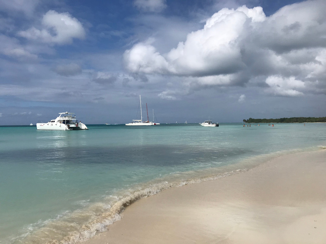 Saona Island景点图片