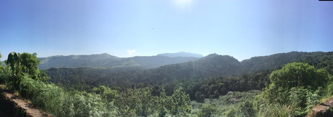 Misty Heights Homestay主图