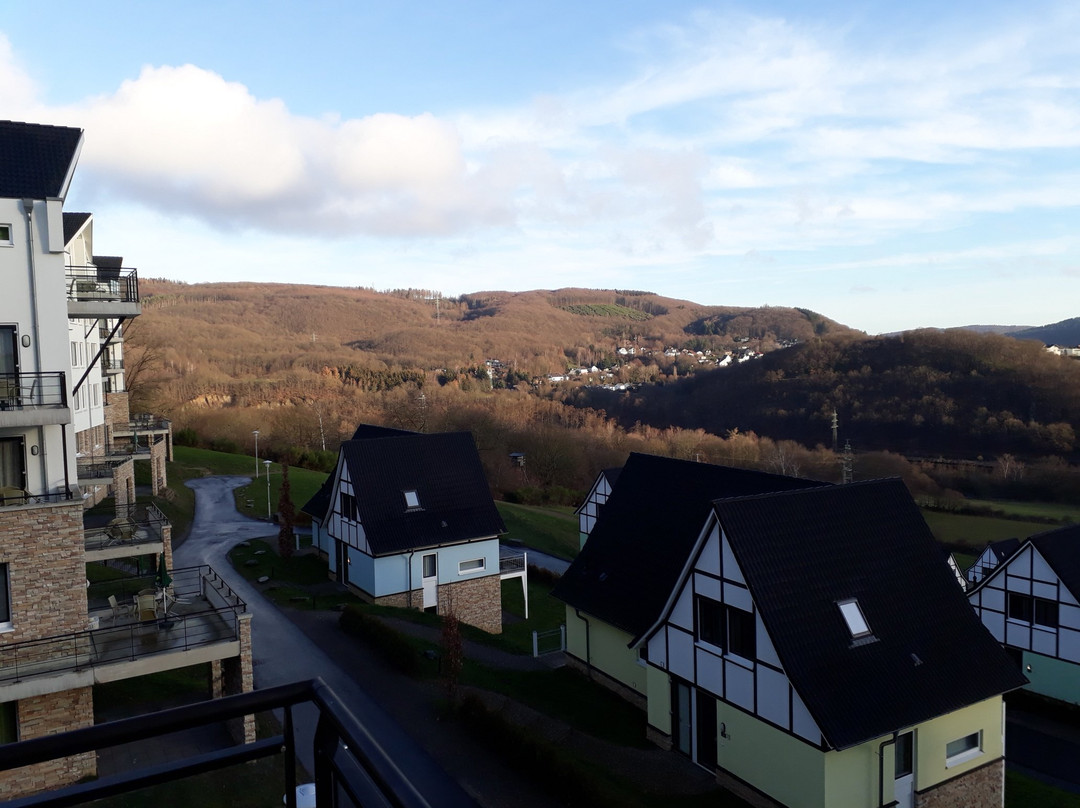 Dormio Resort Eifeler Tor主图