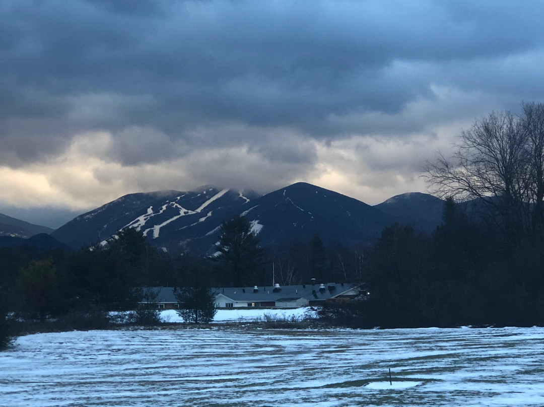 Gale River Motel and Cottages主图