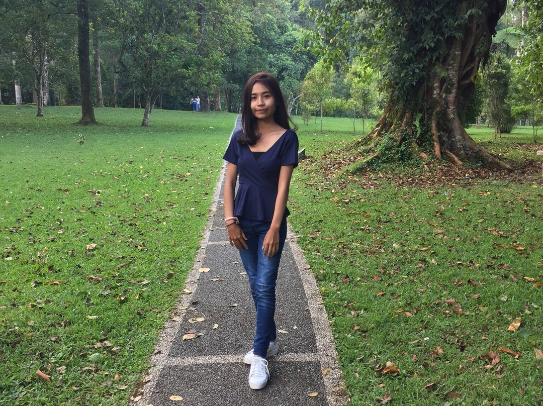 Bedugul Lake View Residence主图