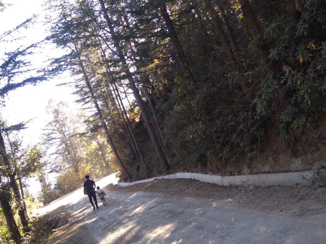 Chail Wildlife Sanctuary-Chail必去景点