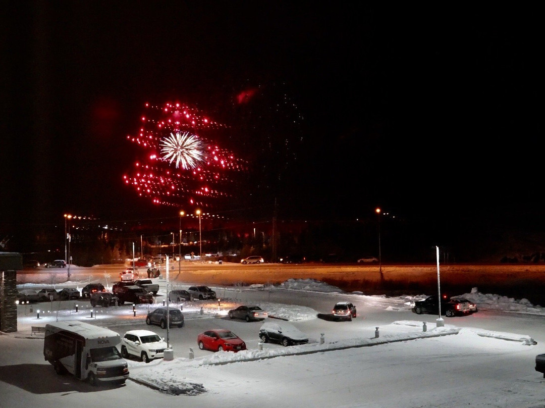 诺瓦耶洛奈夫城堡酒店主图