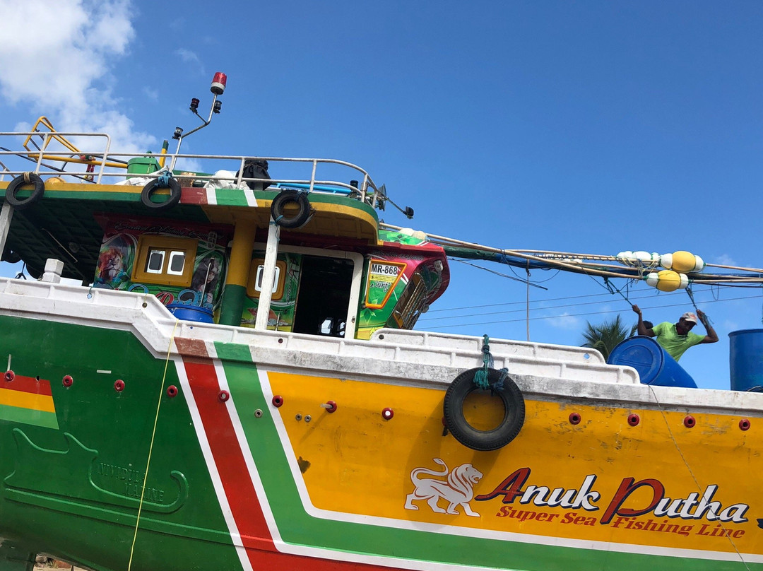 Aloha Lanka Tours-赛杜瓦必去景点