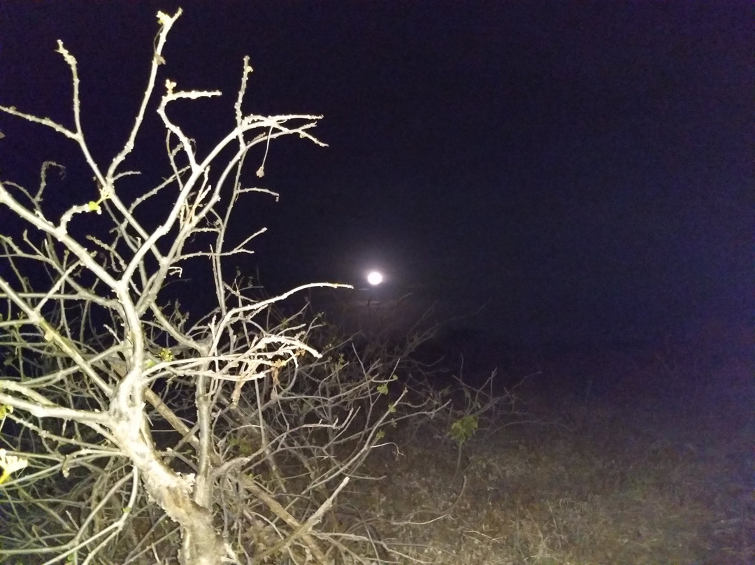 Icapui酒店住宿-Pousada Mae Natureza