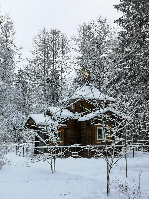 Krasnoye Selo旅游攻略图片