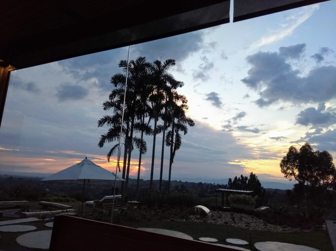 Bio Habitat Hotel主图