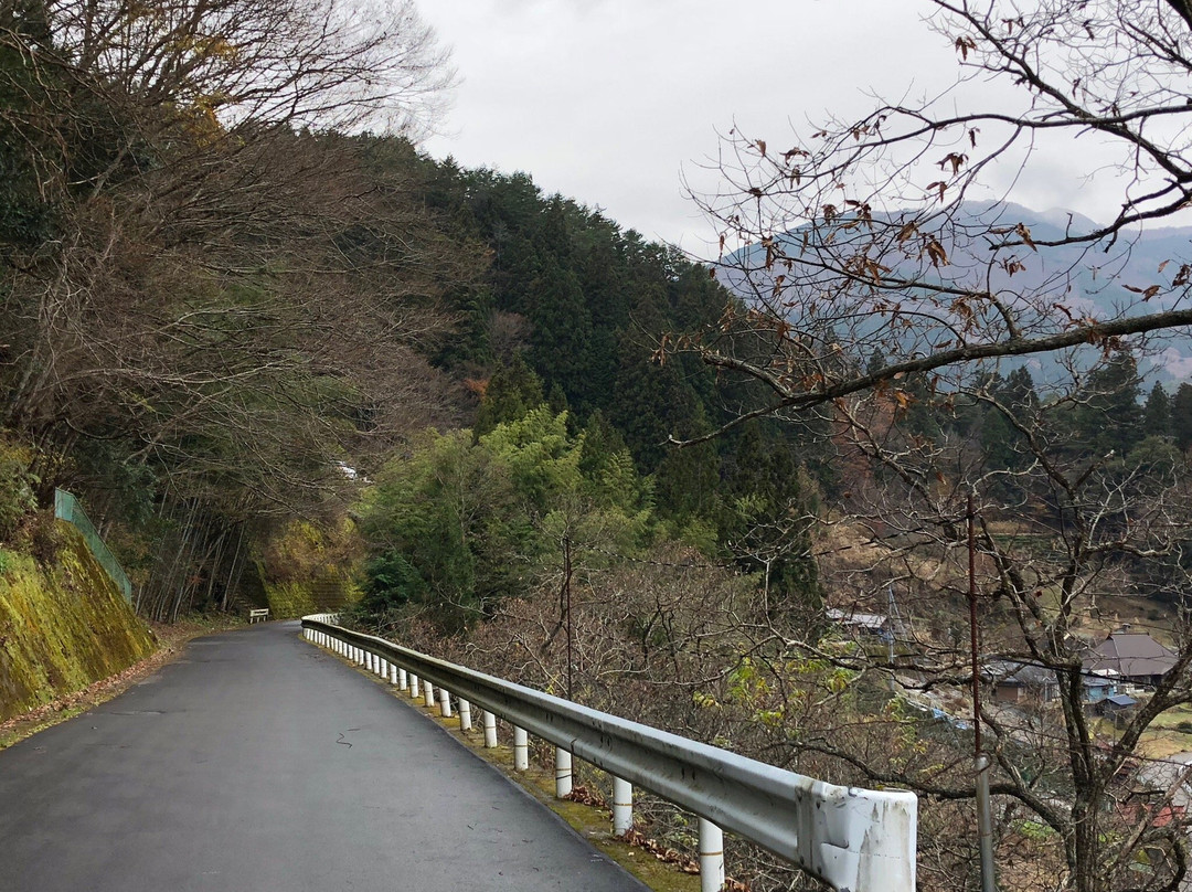 Ochiai Village-三好市必去景点