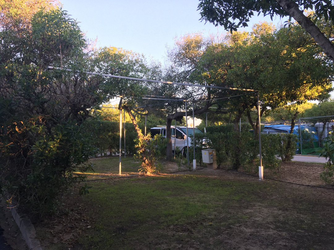 Camping Playa Aguadulce