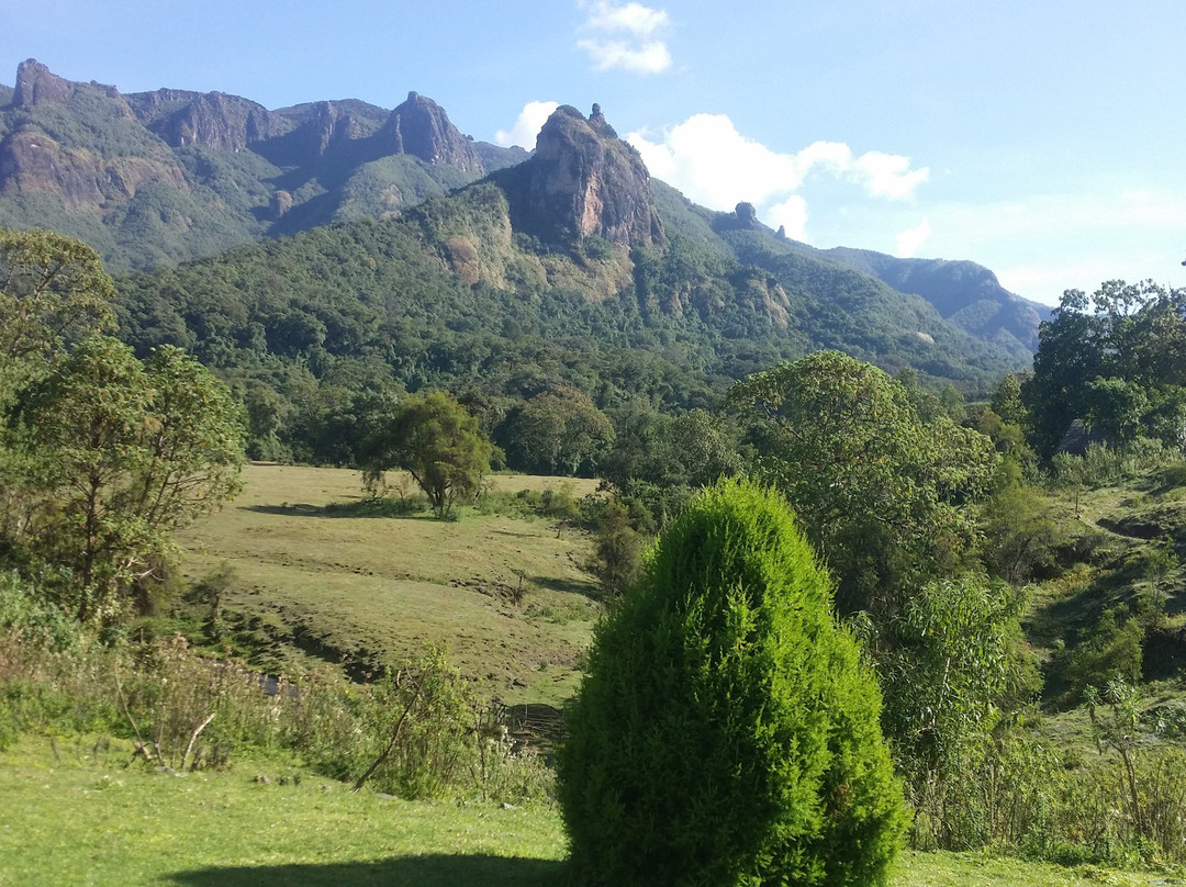 Bale Mountains Eco Trekking Tours景点图片