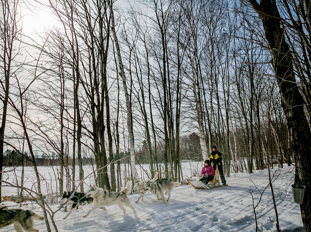 Locations Motoneige Quebec景点图片