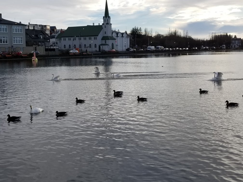 Tourism Iceland景点图片