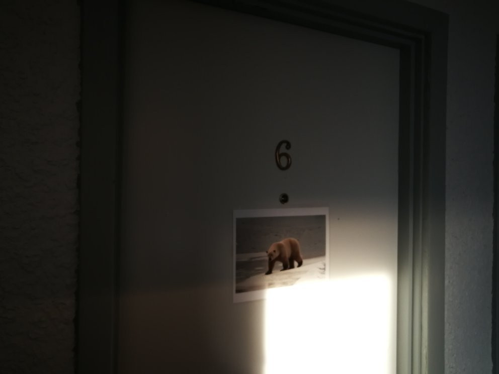 熊之乡旅馆主图