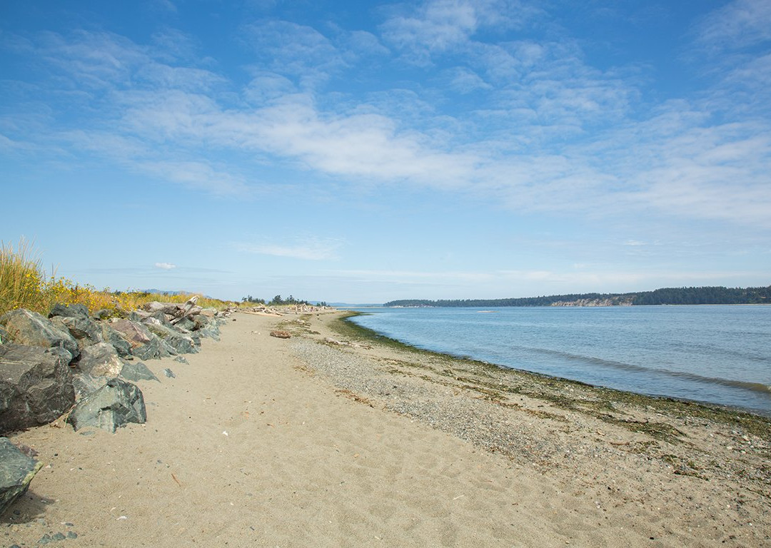 Island View Beach Regional Park景点图片