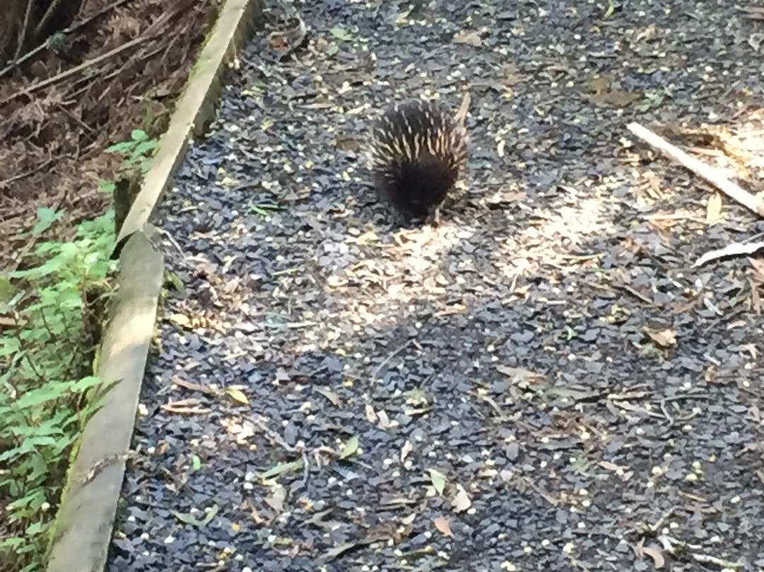 Mt Worth National Park-Allambee必去景点