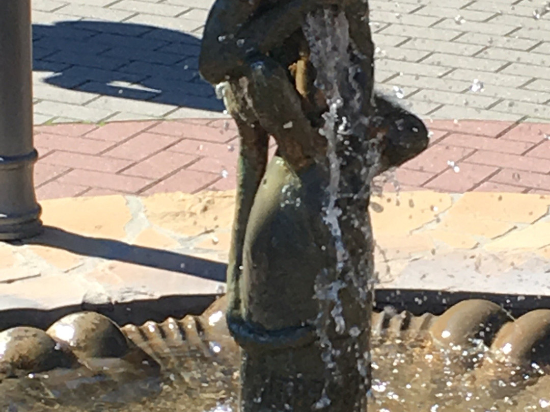 Fountain the Marmoset景点图片