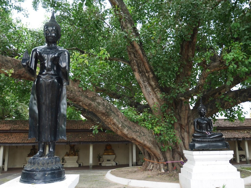Wat Nuea景点图片