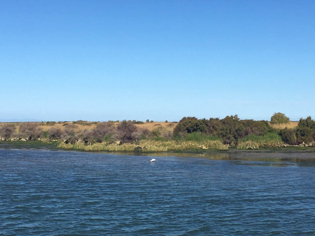 Misty River Retreat主图