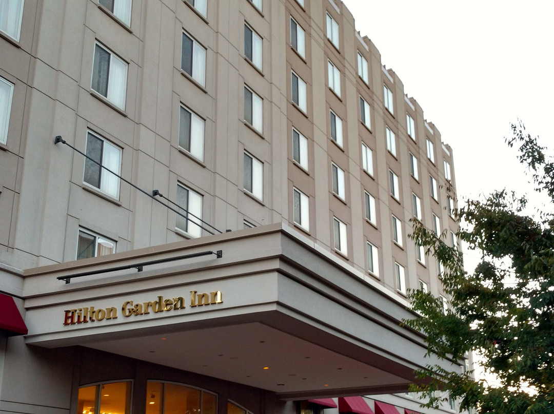 泰森斯角希尔顿花园旅馆主图