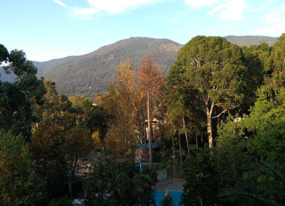 WellnessParkHotel Gagra主图