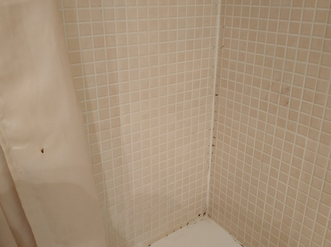 Flag Hotel Valencia - Florazar主图