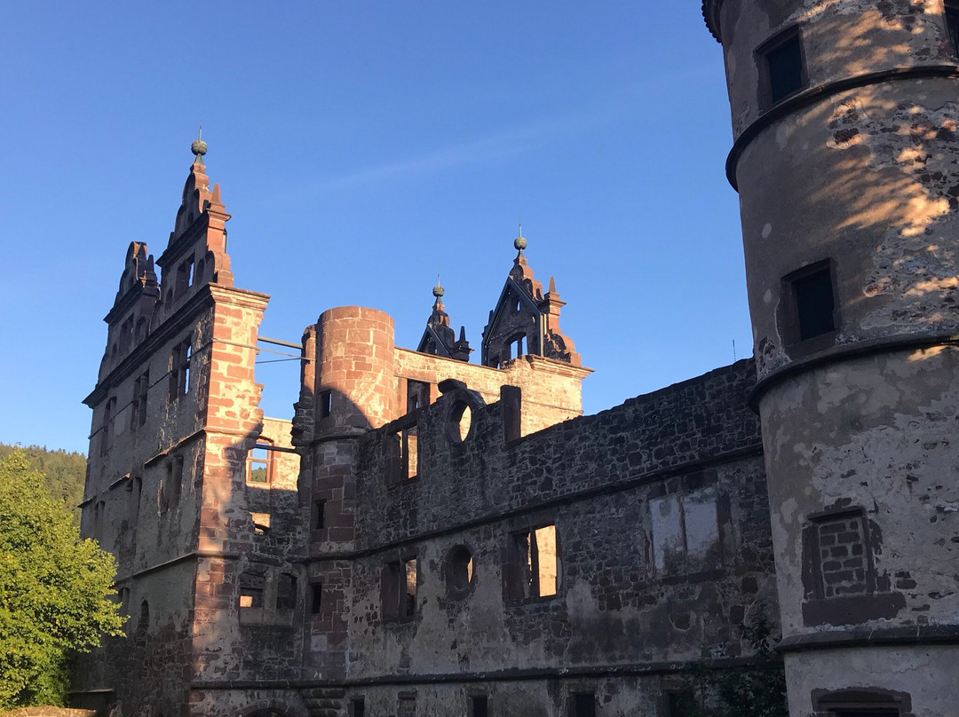 Hirsau Schloss景点图片