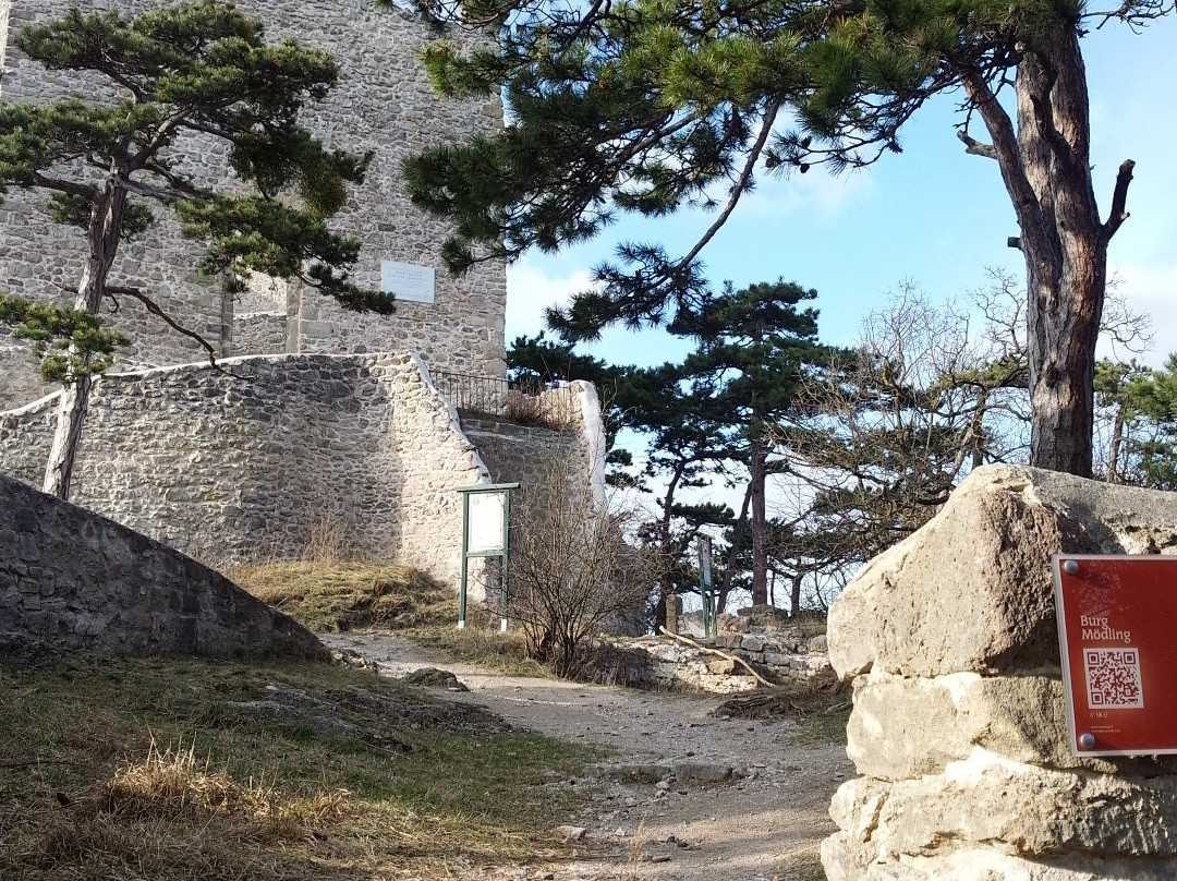 Burgruine Mödling-默德林必去景点