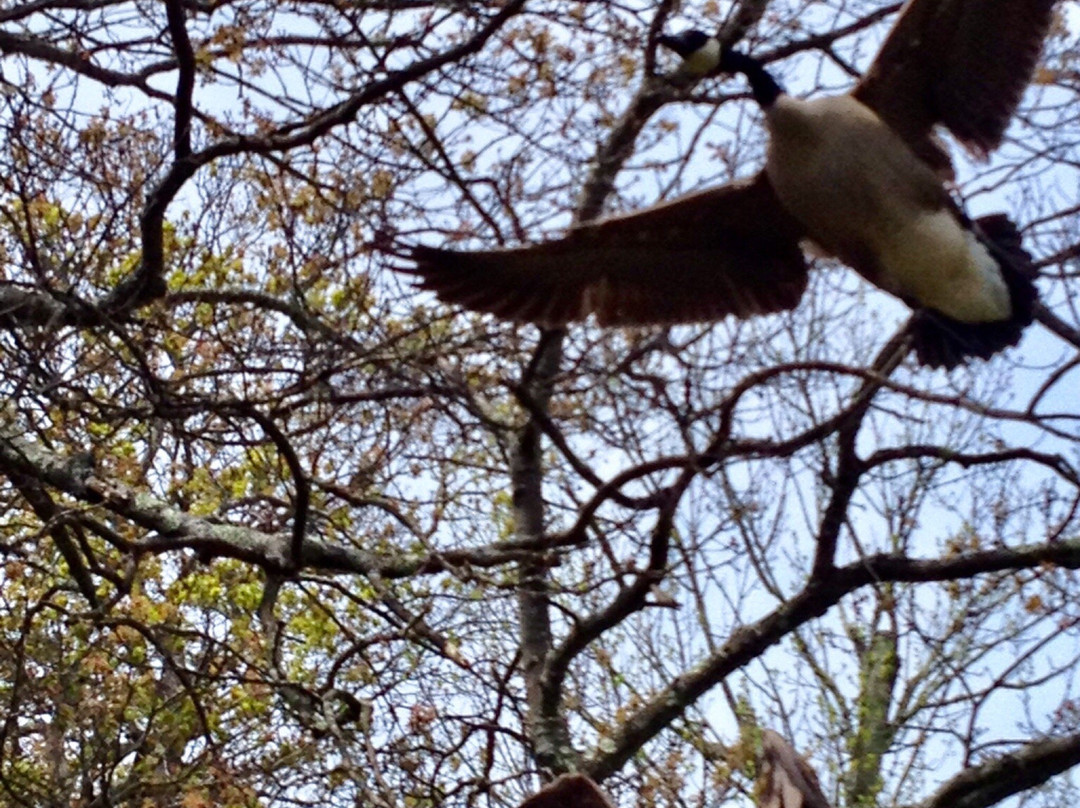 Slater Memorial Park-Pawtucket必去景点