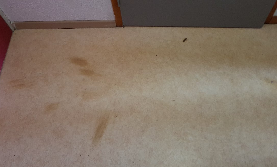 Residence Odalys L'Ecrin des Neiges主图