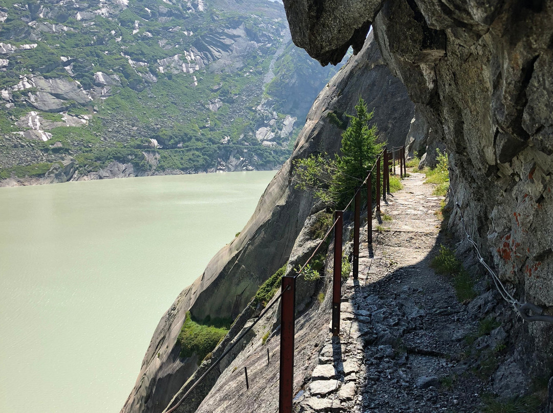 Swisspecial景点图片