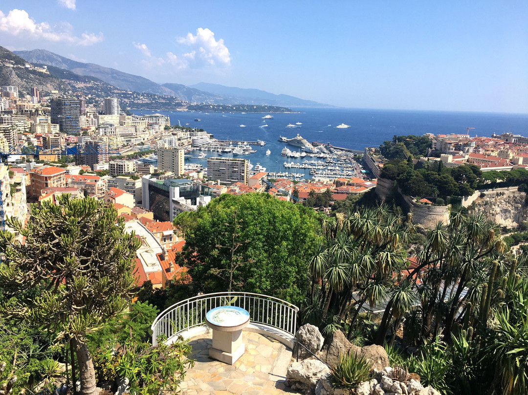 Jardin Exotique de Monaco景点图片