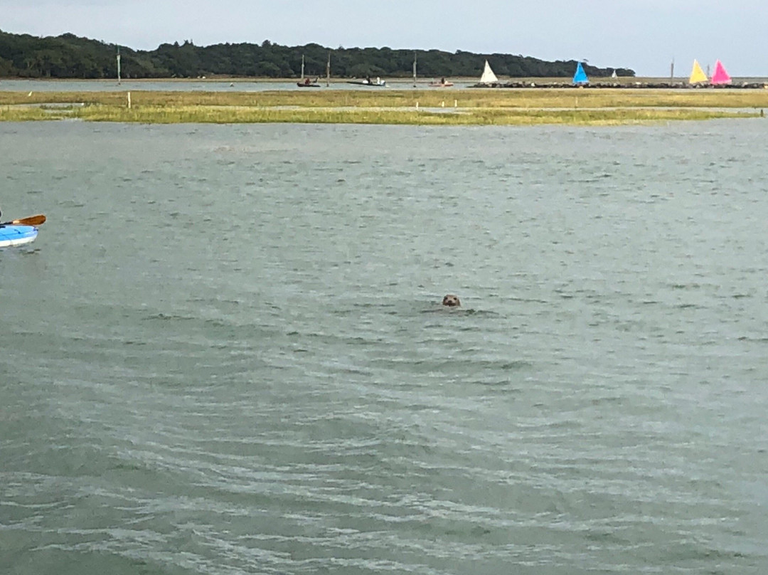 Lymington Kayaks-利明顿必去景点