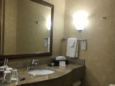 塞勒姆大酒店主图