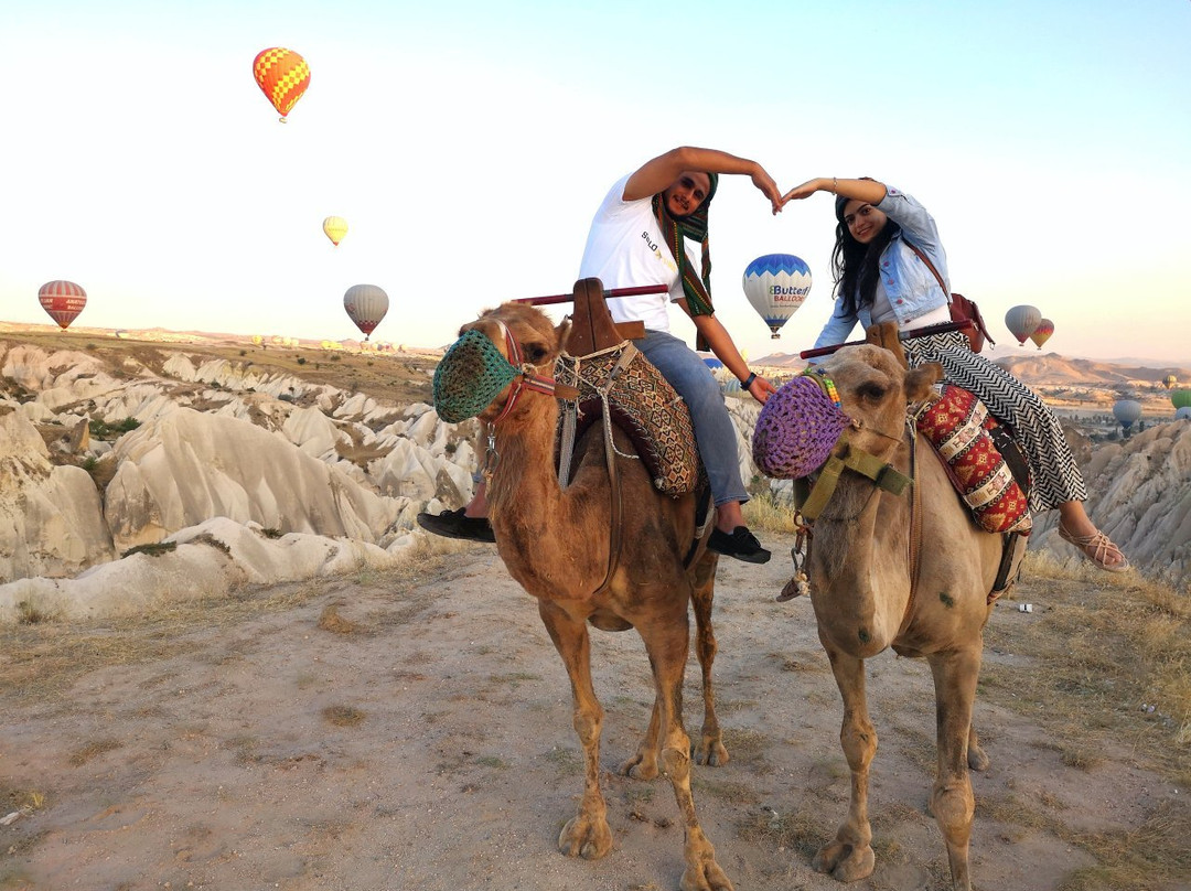 Savran Camel Safari-奥塔西萨必去景点